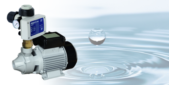 Domestic Water Pump P