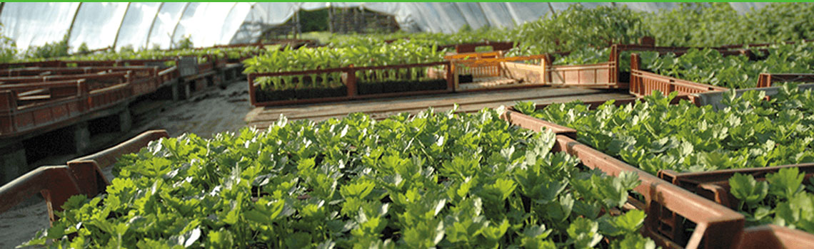 Plant protection equipment, sprayers for crop protection, plant care and fertilization